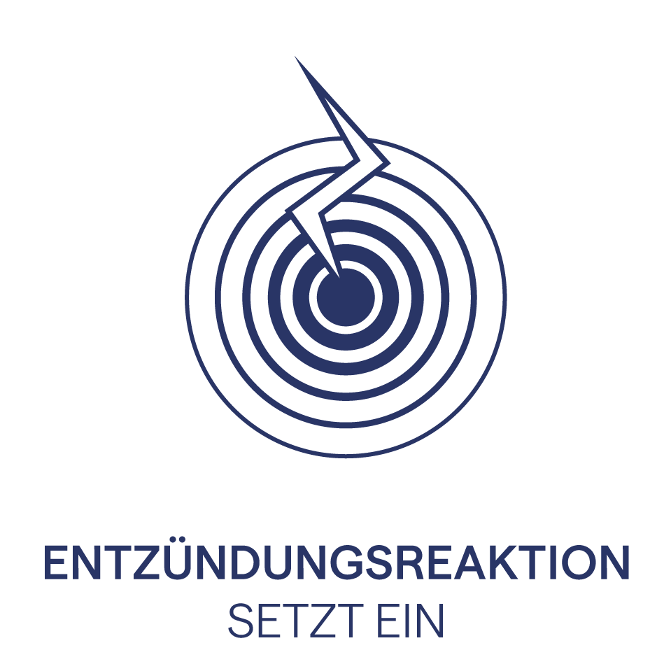 Icons_Haut_Zeichenfläche 1 Kopie 2