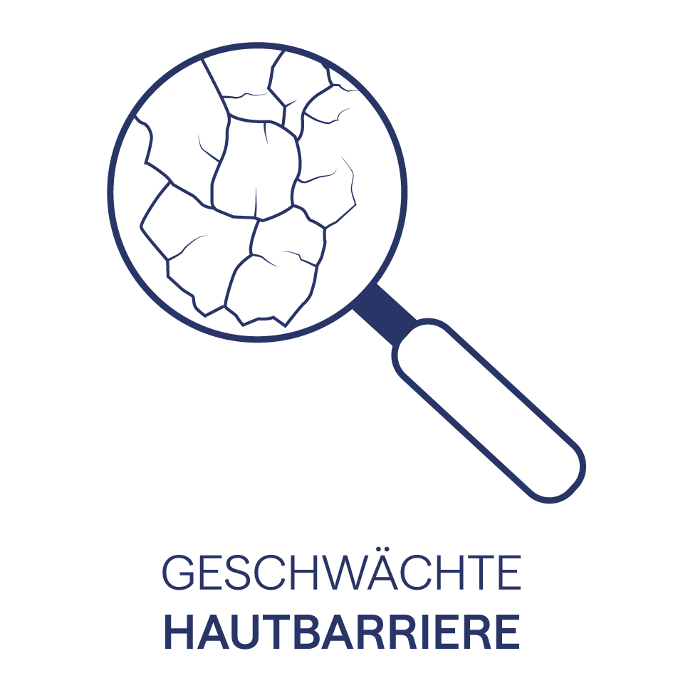 Icons_Haut_Zeichenfläche 1