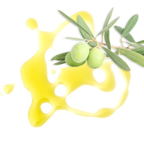 Bio-Evo-Olivenöl