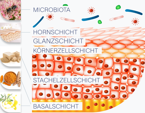O'SCENSE – Mehr als Creme - mobile_img