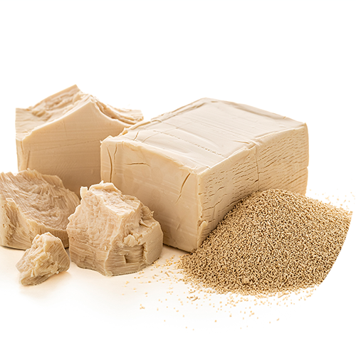 CM-GLUCAn