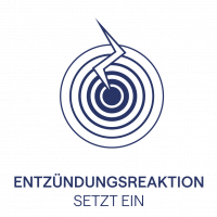 Icons_Haut_Zeichenfläche 1 Kopie 2