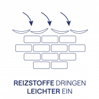 Icons_Haut_vek_Zeichenfläche 1 Kopie (1)